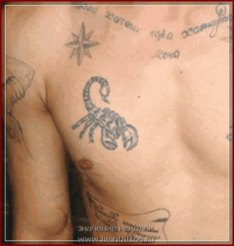 Татуировка Скорпион в тюрьме